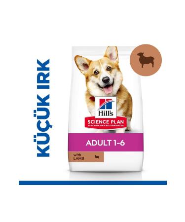 Hill's SCIENCE PLAN Lamb and Rice Small and Mini Breed Adult Dog Food 6kg