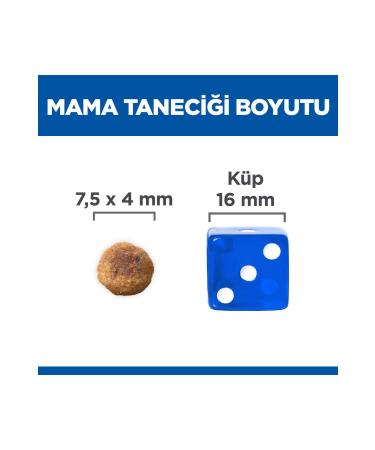 Hill's SCIENCE PLAN Lamb and Rice Small and Mini Breed Adult Dog Food 6kg - Buy Online on GoSupps.com