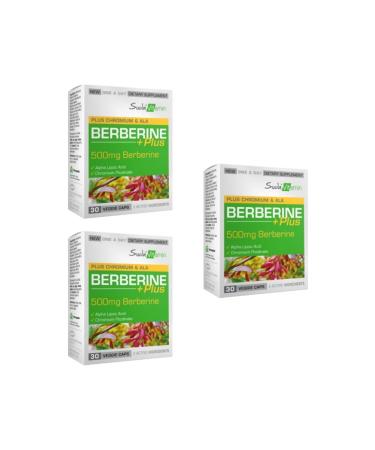 Vitamin in Water VITAMIN IN WATER BERBERINE PLUS 30 CAPSULES 3 PIECES - Buy Online on GoSupps.com