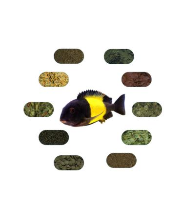 Tropheus Sp. Ikola Special Fish Food Package 100 Gr/piece (7 TYPES)