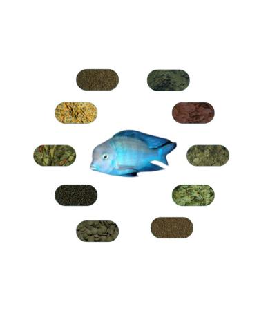 Dolphin Cichlid Special Fish Food Package 50 Gr/piece (6 TYPES)