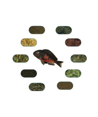 Tropheus Red Belly Special Fish Food Package 100 Gr/piece (7 TYPES)