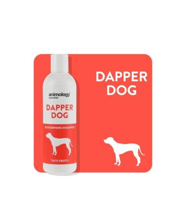 Animology Essentials Dapper Dog Shampoo 250 ml