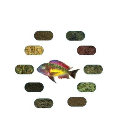 Tropheus Red Rainbow Special Fish Food Package 100 Gr/piece (7 TYPES)
