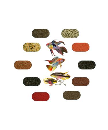 DWARF AMERICAN FOOD PACKAGE (100 GR - 6 TYPES)