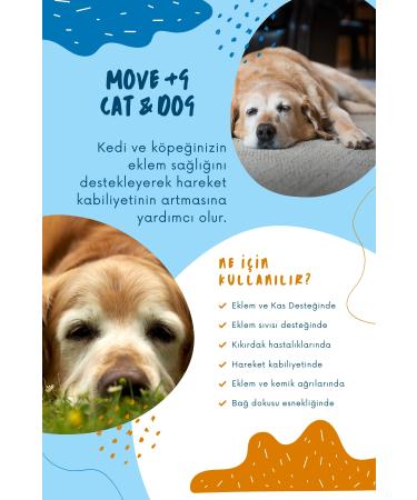 muvicado Dog Immune and Joint Health Support Tablet - Vitamin C Bee Pollen MSM Hyaluronic Acid - Buy Online on GoSupps.com