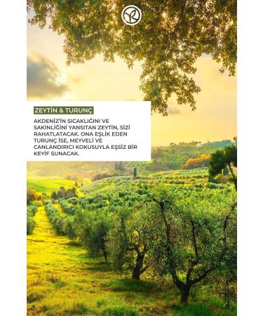 Yves Rocher Moisturizing Hand Cream - Refreshing Olive Citrus - 30ml-90415 - Buy Online on GoSupps.com