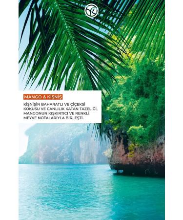 Yves Rocher Moisturizing Hand Cream- Revitalizing Mango Coriander- 30ml-72115 - Buy Online on GoSupps.com