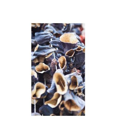 FT ALATURKA TASTES DRIED ANTEP EGGPLANT 50 PIECES