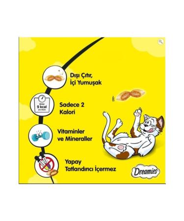 Dreamies Cat Reward Food Salmon 60 gr X 24 Pieces - Buy Online on GoSupps.com