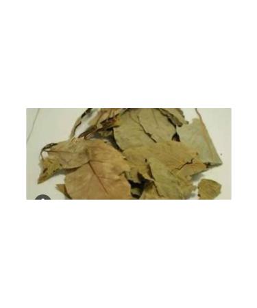 Aselife Avocado leaves 100gr