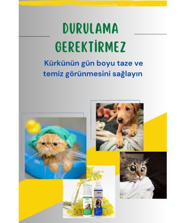 Spoodle Natura Organic & Vegan Practical Paw Cleaning Foam Cat and Dog Dry No-Rinse Care Shampoo-150ml - Buy Online on GoSupps.com