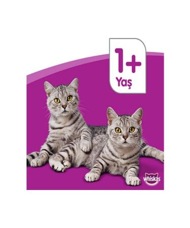 Whiskas Chicken 1.4 Kg Dry Food - Buy Online on GoSupps.com