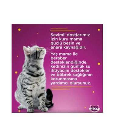 Whiskas Canned Cat Food Steak 400 gr X 12 Pieces - Buy Online on GoSupps.com
