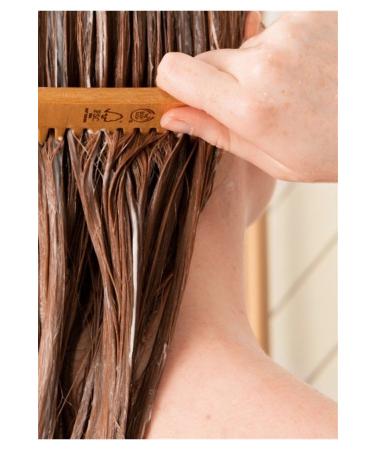 THE BODY SHOP Moringa Shining Protective Conditioner 250 ml - Buy Online on GoSupps.com