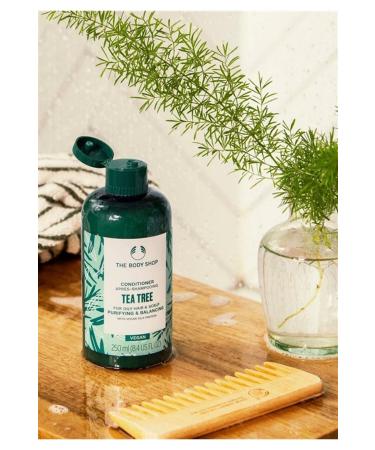 THE BODY SHOP Tea Tree Tea Tree Oily Hair Conditioner 250ml - Buy Online on GoSupps.com