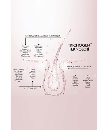 Swissoderm Anti-Hair Loss Shampoo Oily Hair Vegan Fast Growth Sulfate-Free Salt-Free Against Hair Loss 300ml - Buy Online on GoSupps.com