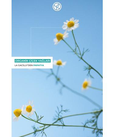 Yves Rocher Softening Solid Shampoo for Normal Hair (DOUCER) - Salt-Free & Vegan-60 gr - Buy Online on GoSupps.com