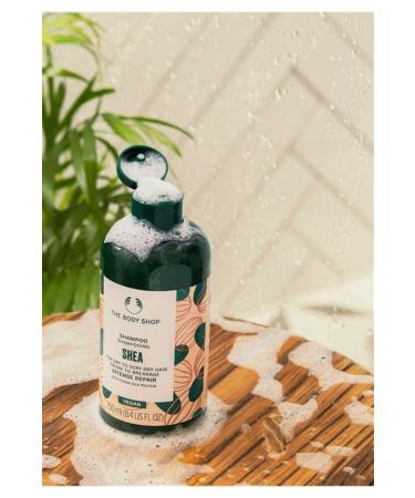 THE BODY SHOP Shea Renewing Shampoo 250 ml - Buy Online on GoSupps.com