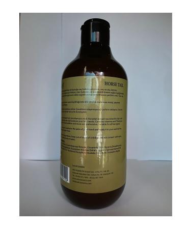 Artenix Tea Tree and Horsetail Shampoo - Buy Online on GoSupps.com