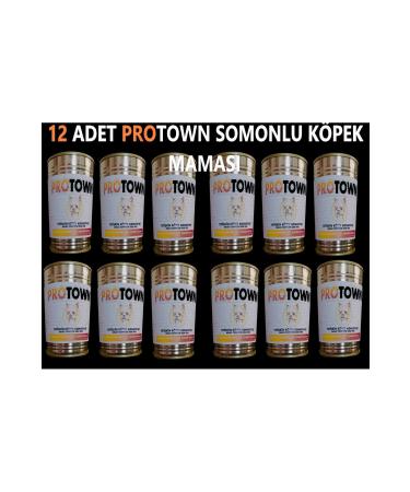 PRO TOWN 12 Pieces 415 gr Protown SALMON Canned Dog Food