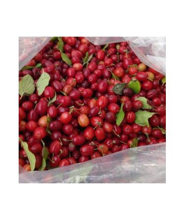  ifa Dried Cranberry Homemade 1kg - Buy Online on GoSupps.com
