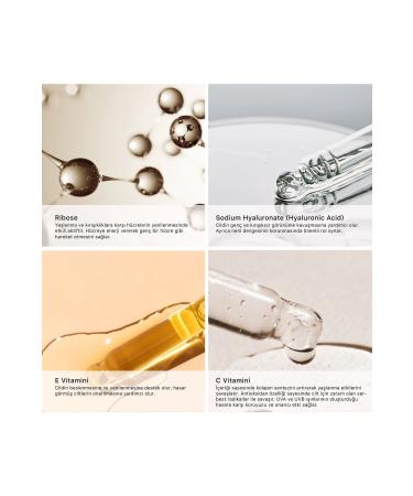 Sheida Endless Youth Anti-Aging Hand Cream 75 ml - Buy Online on GoSupps.com