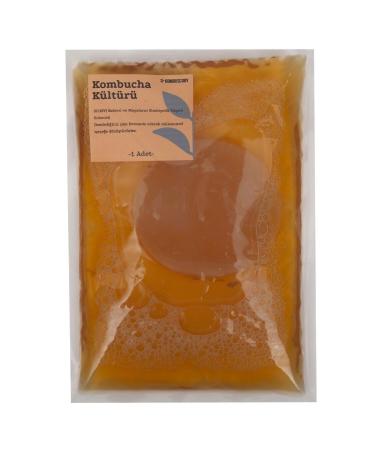 KombuScoby Kombucha Mushroom - Kombucha Culture - Kombucha Scoby - Kombucha Tea