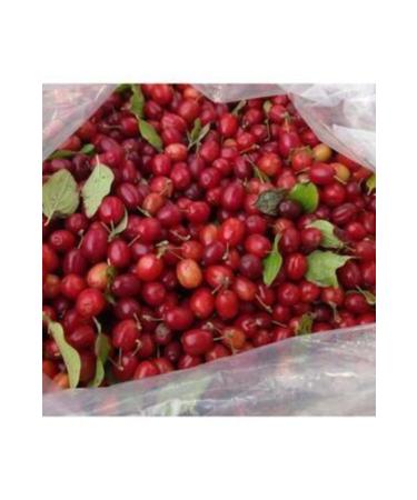  FAGIDA Dried Cranberry 1 kg - Buy Online on GoSupps.com