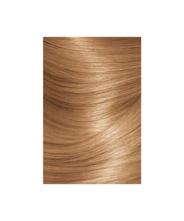 L'Oreal Paris Excellence Creme Hair Dye 7.3 Golden Blonde - Buy Online on GoSupps.com