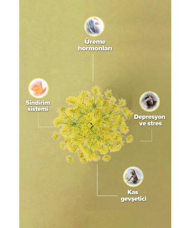 Z hre Ana Extracted Fuchsia Water 500 Ml - Buy Online on GoSupps.com