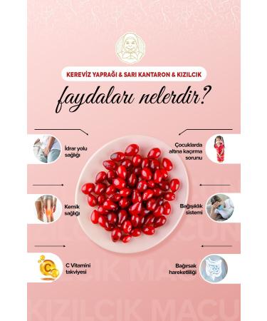 Z hre Ana Cranberry Paste 240 Gr - Buy Online on GoSupps.com