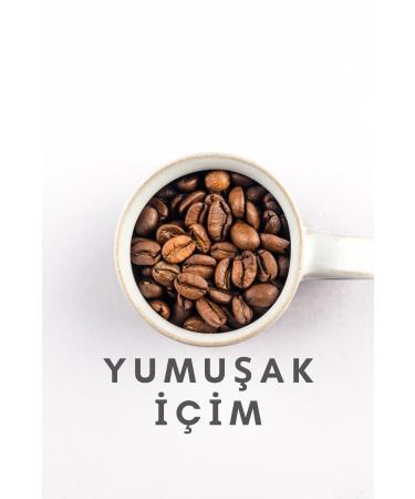 B2B Plus Chicory Coffee Detox Coffee | 30 Uses | 150 grams - Buy Online on GoSupps.com