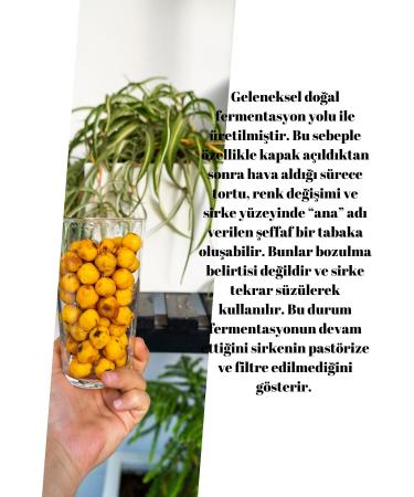 G zeldost Handmade Hawthorn Vinegar 5 Liters - Buy Online on GoSupps.com