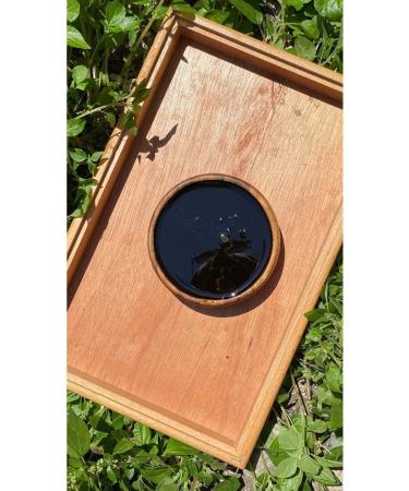 Natural Life 54 Beet Molasses 5 KG