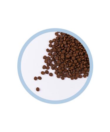 KiS-KiS Kitten Kitten Cat Food 2 Kg - Buy Online on GoSupps.com