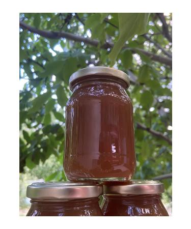 G LTEK N HONEY MILK JAM 350 GRAMS - Buy Online on GoSupps.com