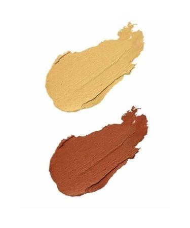 Rose Wonder Stick Concealer & Highlighter - Buy Online on GoSupps.com