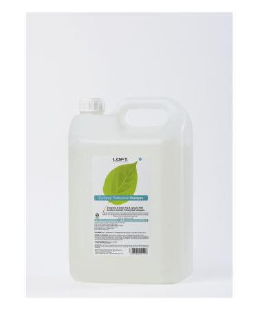 Loft Clarifying Daily Balancing Professional Shampoo 5l