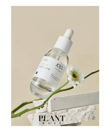 The Plant Base Waterful Moist Balance Hyaluronic Acid 100 - Moisturizing Serum 30ml - Buy Online on GoSupps.com