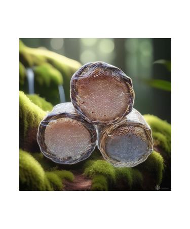 Savak Erzincan Karakovan Honey 1250 gr