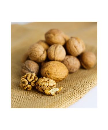 Kastamonu Natural Garden Kastamonu Local Shelled Walnut 1000 gr