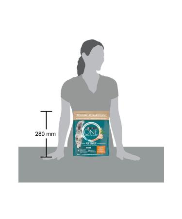 Purina One Chicken Adult Cat Food 1.6 Kg (800 GR X 2 AD) - Buy Online on GoSupps.com