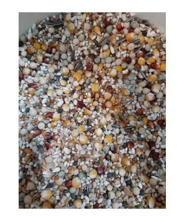 ELIXIR PROF BIRD FOOD Pigeon Food 5 Kg