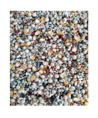 Tippler Pigeon Food 5 Kg