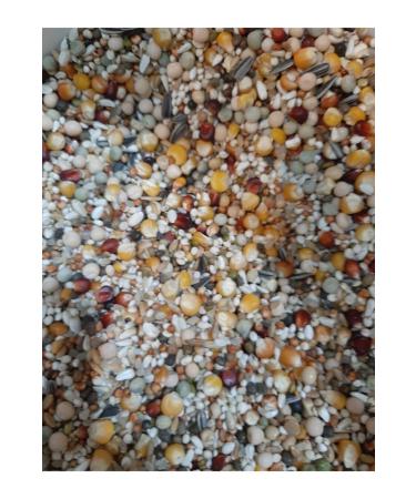 ELIXIR PROF BIRD FOOD Pigeon Food 5 Kg - Buy Online on GoSupps.com