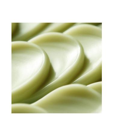 Dr.jart+ Cicapair Tiger Grass Color Correcting Treatment Skin Tone Equalizing Care 50 Ml. - Buy Online on GoSupps.com