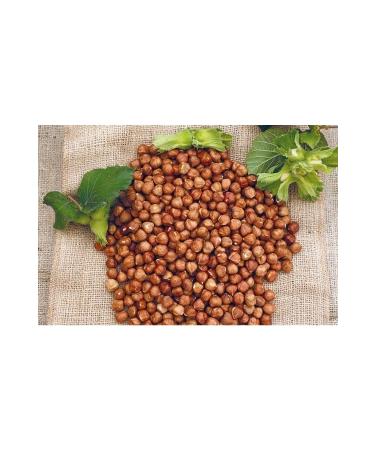 Hac o lu Spice Hatay Local Hazelnuts Raw 1 Kg / 1000 gr
