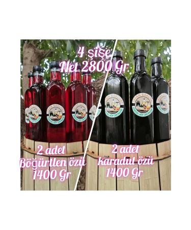 irfan bakliyat Blackberry Extract 1400 gr Black Mulberry Extract 1400 gr Net 2800 gr