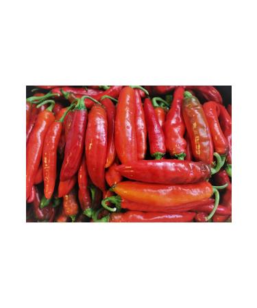 DAYE HATUN Samanda Hot Pepper Vinegar (natural Fermented Live Vinegar / 500 Ml) - Buy Online on GoSupps.com